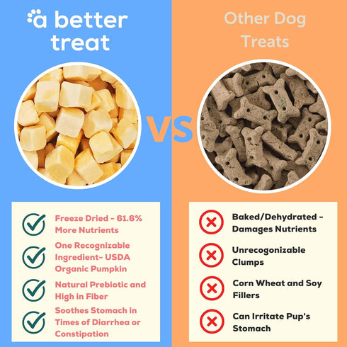 A Better Treat – Freeze Dried Organic Pumpkin Dog and Cat Treats, Natural, Healthy, Diabetic Friendly