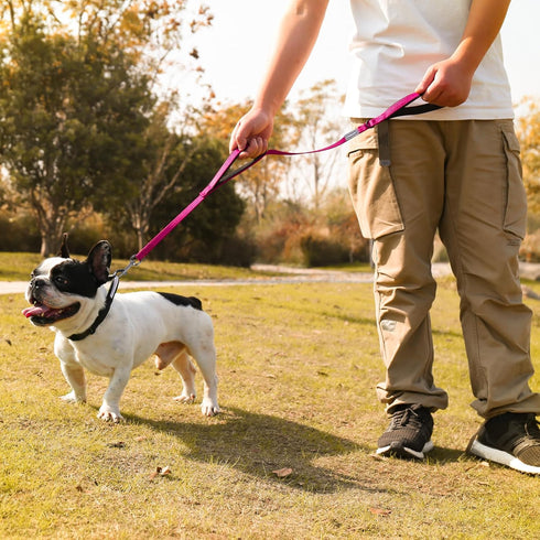 VIVAGLORY Traffic Handle Dog Leash, Two Padded Soft Handles, Strong Reflective & Metal Hook Training Lead