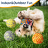Leyndo 10 Pack Dog Balls for Aggressive Chewers - 2.5" Interactive Tennis Balls for Dogs of All Sizes