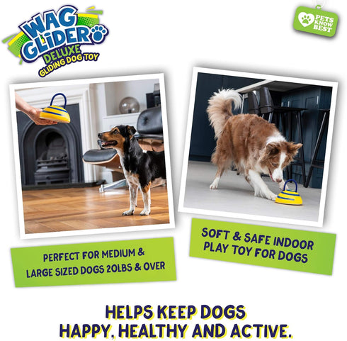 Wag Glider Deluxe Dog Toy - Sliding Gliding Toy with Built-in Squeaker & Rope for Medium & Large Dogs - Safe for Indoor