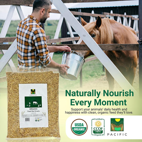 Packed 2Lbs PACIFIC Organic Petfood Organic Feed Oat Groats - Oat Groats for Birds | Rich with Fiber & Minerals | USDA