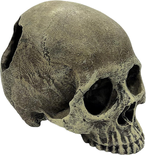 Komodo Reptile Terrarium Realistic Half Human Skull Ornament Decor, Easy to Clean Aquarium Decoration Accessory