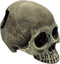 Komodo Reptile Terrarium Realistic Half Human Skull Ornament Decor, Easy to Clean Aquarium Decoration Accessory