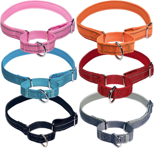 Martingale Dog Collars: Reflective Safety Puppy Collar, Adjustable Soft Nylon Training Collar for Small Medium Large