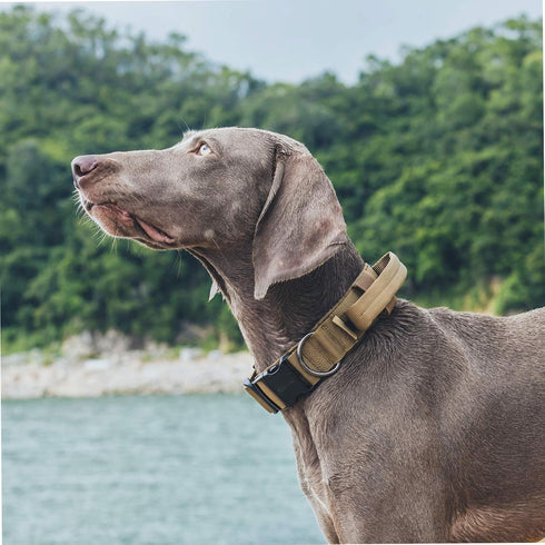 OneTigris Tough Tactical Dog Collar, Adjustable Military Collar with Handle, Large, Brown