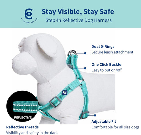 Blueberry Pet Essentials Step-in Reflective Dog Harness, Minty Green, Adjustable Small Harness for Dogs, Chest Girth