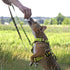 Dingo Dog Harness Do Not Pet Vest for Puppies, Dog in Training, Working Dog, Service Dog, Emotional Support Dog, Medium