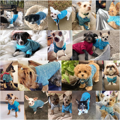 Jecikelon Dog Sweater for Small Dogs, Soft Winter Clothing, Warm Outfit (Light Blue, M)