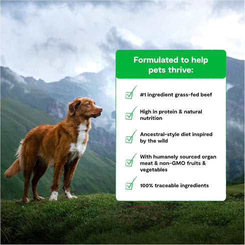 Open Farm RawMix Grain-Free Front Range Recipe for Dogs, Includes Kibble, Bone Broth, and Freeze Dried Raw, 3.5 lb