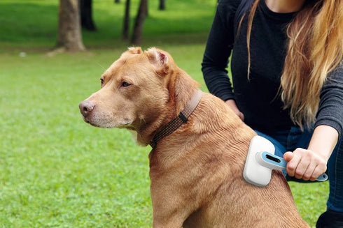 Pets First Premium Dog & Cat Brush, Self Cleaning Slicker Hair Brush, Easy to Clean, Best Grooming Tools for Dogs and