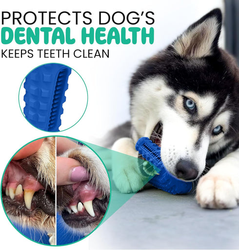 SUPER SHOE Dog Toy for Aggressive Chewers, Rubber Natural Teething Toys, Treat Dispenser for Small Medium Dogs