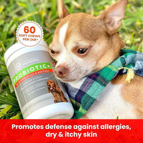PawMedica Probiotics for Dogs - Digestive Enzymes, Prebiotics & Chews, Made in USA, 60 Dog Probiotic Chews