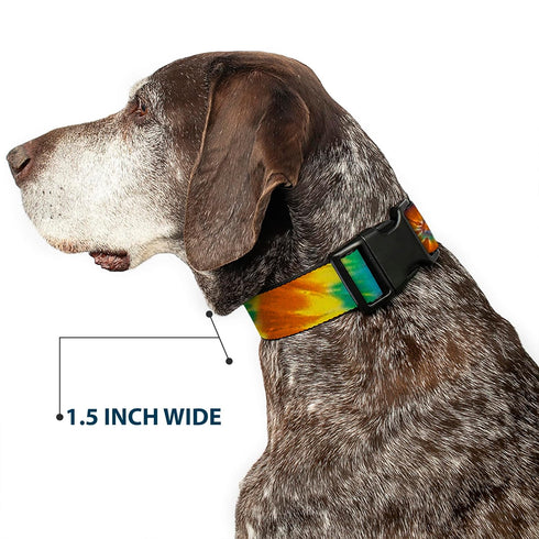 Buckle-Down Plastic Clip Collar - Tie Dye Swirl Multi Color, 1" Wide, Fits 11-17" Neck, Medium