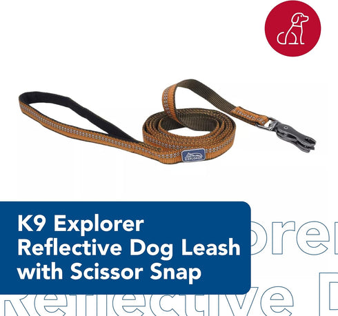 Coastal Pet K9 Explorer Reflective Dog Leash, Durable Nylon, Sapphire, 5/8" x 6'