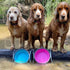 Loving Pets Bella Roma Collapsible Dog Bowls, Silicone, Foldable Bowl, Puppy Essentials, Hiking Supplies, Pink, Small