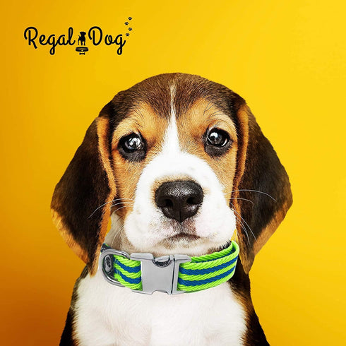 Regal Dog Products Large Pet Collar with Custom Engraved Buckle | Durable Twill Collars for Small Medium Large Dogs