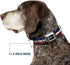 Dog Collar Seatbelt Buckle Mustang Text Tri Bar Stripe 1.5 Inch Wide, 13 to 18 Inches