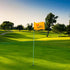 Standard Themed Golf Flag - 14x20 Inch, 420D Nylon Double-Sided Silk-Screen for Practice Putting Green