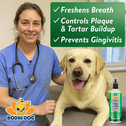 Bodhi Dog Natural Dog Breath Freshener Spray, 8oz | Fresh Breath, Tartar & Plaque Remover, Supports Teeth & Gum Health