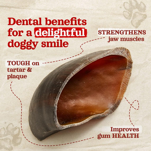 Cow Hooves (6 Pack), Odor-Free, All Natural Dog Treats from Natural Farm, Great Alternative to Bully Sticks