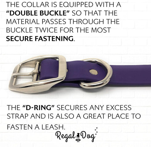 Regal Dog Products Small Purple Dog Collar with Heavy Duty Double Buckle & D Ring, Adjustable Biothane Chew Resistant