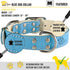 ADITYNA Heavy-Duty Leather Dog Collar - Soft Padded Blue Collar for Medium Dogs, Ideal for Walking and Training