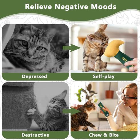 5 Pack Catnip Toys for Cats, Chew Resistant Cat Toys with Natural Catnip, Interactive Funny Shape Kitten Kicher, Soft