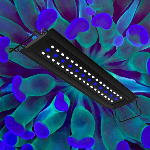 Aquatop LED Aquarium Blue Light, SkyAqua Blue, Fits 12-18 Inch Tanks, Natural Moonlight Illumination