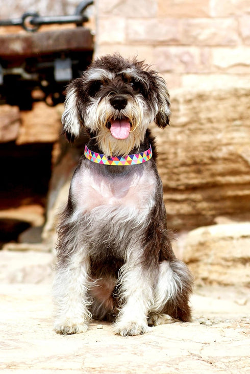 Dog Collars for Small Dogs, 3D Print Pattern Soft Nylon Adjustable Collars for XS Small Medium Large Dogs, Colorful