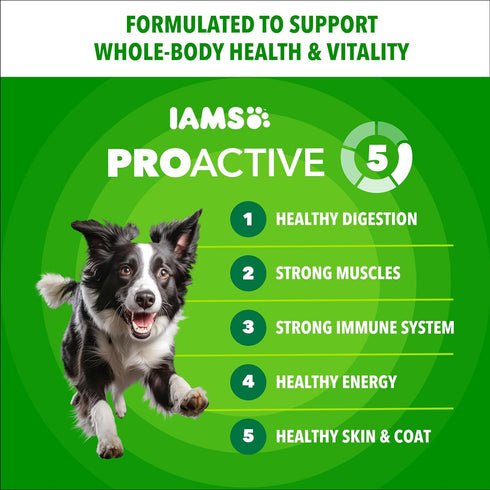 5 lb. IAMS Proactive Health Adult Minichunks Dry Dog Food Beef & Rice Recipe, Bag