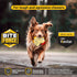 Dog Toys for Aggressive Chewers - Kevlar Fun Animal Super Chewer Toys for Large, Medium, Small Dogs