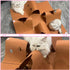 4-Way Interactive Cat Tunnel Mat for Indoor Cats, Felt Cat Cave with Hanging Ball, Foldable Kitty Play Mat and Hideout