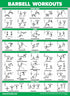 Palace Learning 4 Pack - Dumbbell Workouts + Barbell Workouts + Bodyweight Workouts + Kettlebell Workout Charts