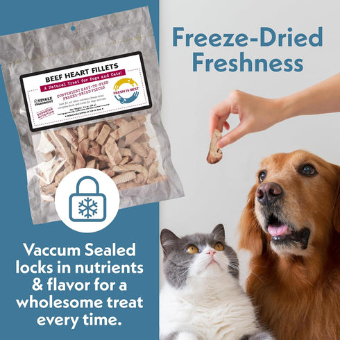 Fresh Is Best Beef Heart Fillets Freeze Dried Dog Treats Raw Freeze Dried Dog Food for Cats & Canines Training Treat