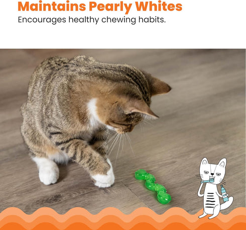 Catnip-Infused Wiggle Worm Dental Chew Toy for Cats