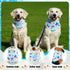 Aliceset 180 Summer Pcs Pet Dog Bandana Bulk Fruit Bandanas for Dogs Adjustable Washable Tropical Pet Triangle Scarf