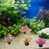 POPETPOP 40 Pcs Mini Plants Artificial Seaweed Aquarium Plants, Small Fake Aquarium Plant Decor for Betta Fish