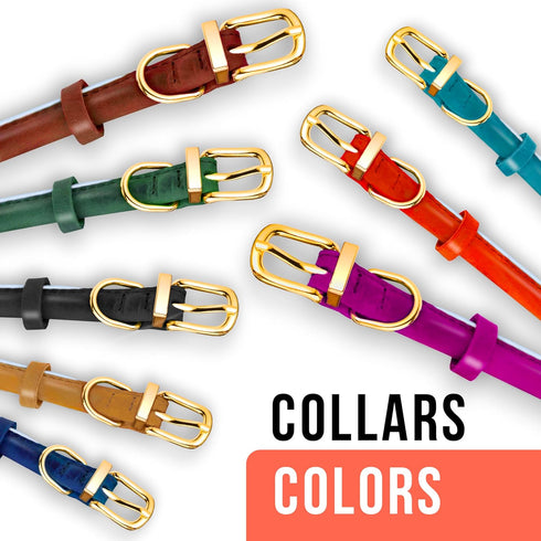 OOPSDOGGY Reflective Rolled Leather Dog Collar for Medium Dogs - Adjustable Soft Padded Collar (M, 12"-15", Teal)