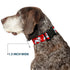 Buckle-Down Plastic Clip Collar, Dalmatians Running/Paws, 1" Wide, Fits 11-17" Neck, Medium