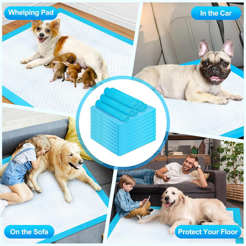 CAHUDIKIC 40"x40" 40 Count, Pee Pads for Dogs & Cats Puppy Pads Extra Large, Disposable Thicken Pet Training Pads