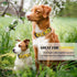 Martingale Collar for Dogs, Adjustable Soft Nylon Dog Collars with Cute Patterns for Small Medium Large Dogs (Yellow