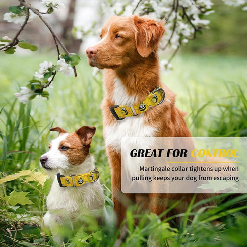 Martingale Collar for Dogs, Adjustable Soft Nylon Collars with Cute Patterns for Small Medium Large Dogs, Yellow Bee,