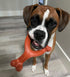 Nylabone Ergonomic Hold Wishbone Power Chew Toy for Dogs, Large - Up to 50 lbs, Bison Flavor, 1 Count