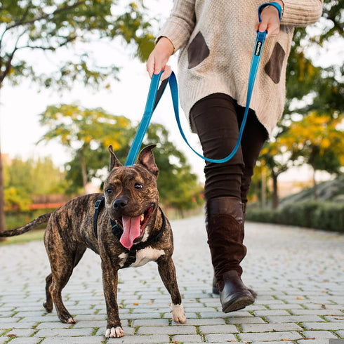 PetiFine 5FT Heavy Duty Dog Leash - Soft Padded Double Handle, Reflective Nylon Walking Lead for Dogs, Blue