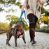 PetiFine 4FT Heavy Duty Dog Leash - Soft Padded Double Handle, Reflective Nylon for Large Medium Small Dogs, Blue
