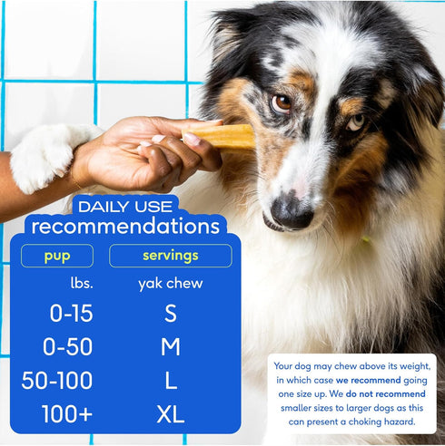 Native Pet Yak Chews (5 Small Chews) - Yak Milk Chews for Puppies & Small Dogs - Puppy Teething Toys