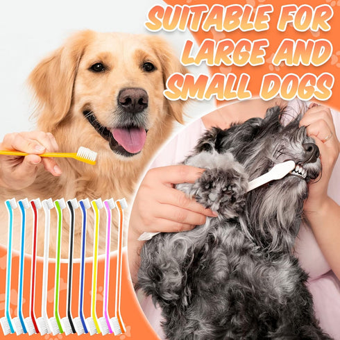100 Count 10 Potchen Dog Toothbrush Bulk Dual Headed Pet Toothbrush Kit Soft Bristles Long Handle Double Sided for Dog