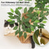 2 Meowoou Cat Wall Shelves with Leaves, Platform Cat Wall Furniture, Cat Tree Shelves, Rubber Wood Wall Perch with Mat