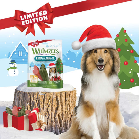 Whimzees by Wellness Natural Grain Free Dental Chews for Dogs, Medium Breed, 6 count