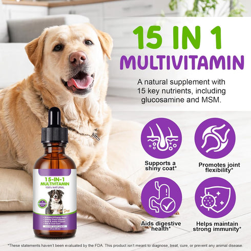 CFXYHNOX 15 1 B1, Dog Multivitamin Drops, in Multivitamin Liquid for Dog with Vitamin C, Vitamin D & Dog Health